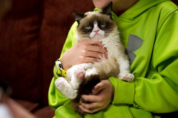 Image: Grumpy Cat