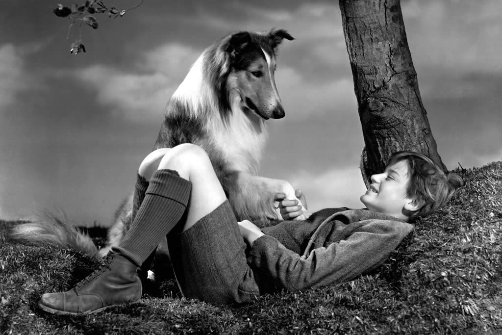 lassie movie