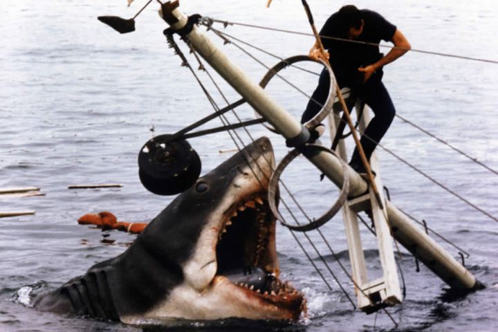 Jaws' | Top 10 Killer-Animal Movies 