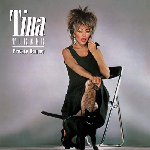Tina Turner Relinquishes U.S. Citizenship