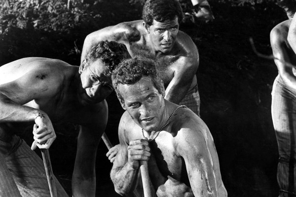 58 HQ Pictures Cool Hand Luke Movie Clips : Paul Newman As Cool Hand Luke Eats 50 Eggs Serious Eats
