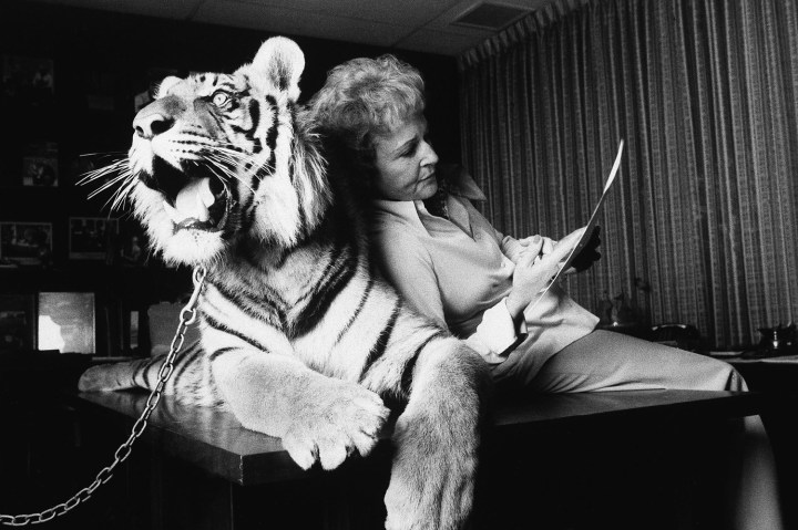 Betty White and a Bengal Tiger