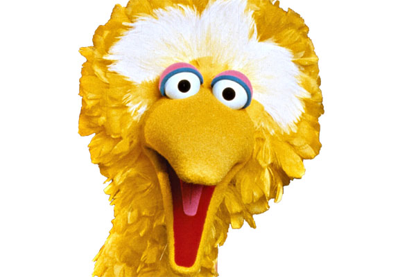 Dead Tree Alert: Big Bird Is a Republican | TIME.com