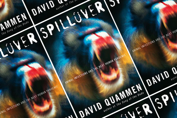 spillover animal infections and the next human pandemic