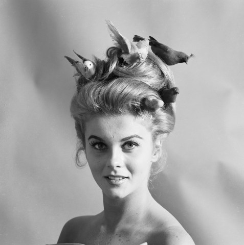 Ann-Margret with "Birdie" Hairdo
