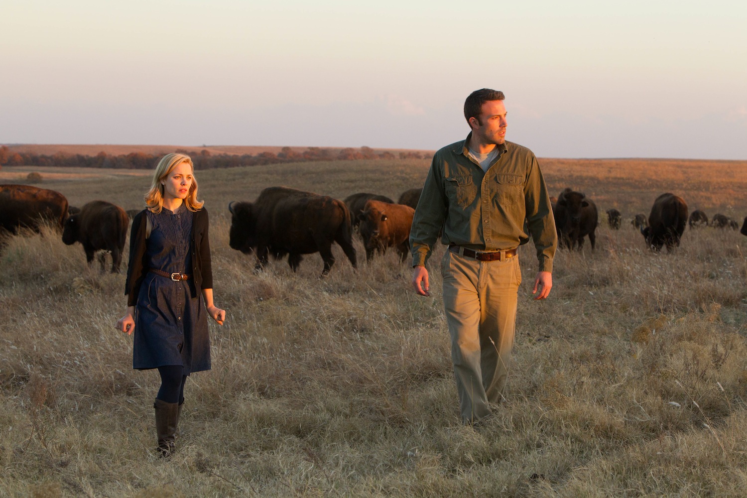 To the Wonder Movie Review Cosmic Rapture from Terrence Malick