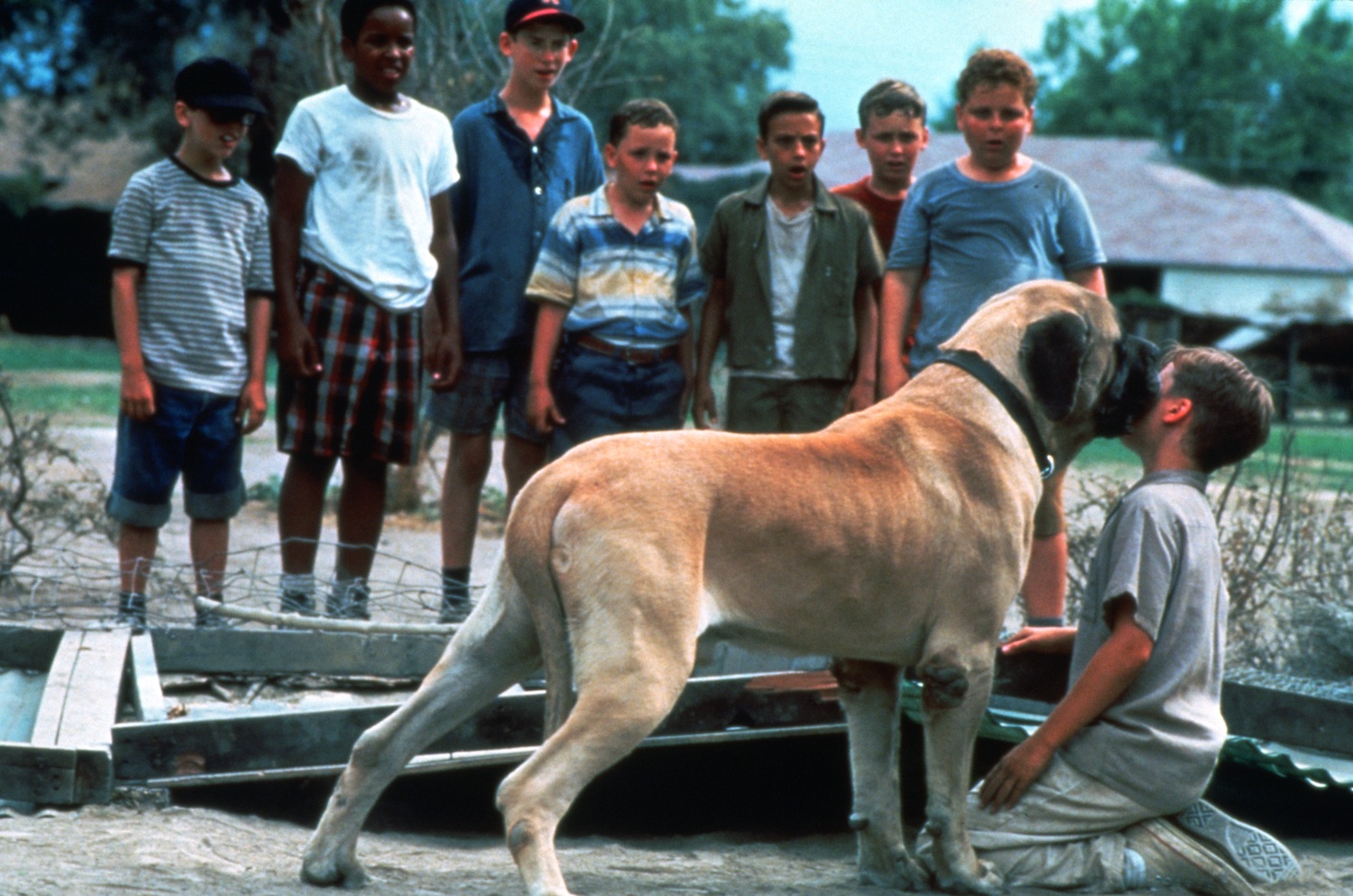 sandlot dog shirt