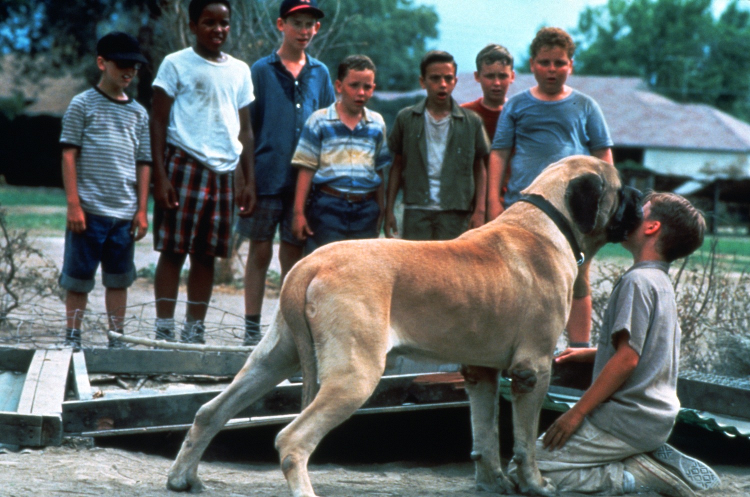 You're Killin' Me Smalls: 20 Revelations About The Sandlot on Its 20th  Anniversary