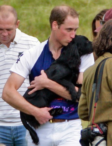 Prince William, Duke of Cambridge carries his dog Lupo attend The Golden Metropolitan Polo Club Charity Cup polo match, in which Prince William, Duke of Cambridge and Prince Harry played, at the Beaufort Polo Club on June 17, 2012 in Tetbury, England. 
