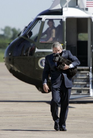 US President George W. Bush kisses his dog Barney as he leaves Marine One on 26 April 2005 in Crawford, Texas. 