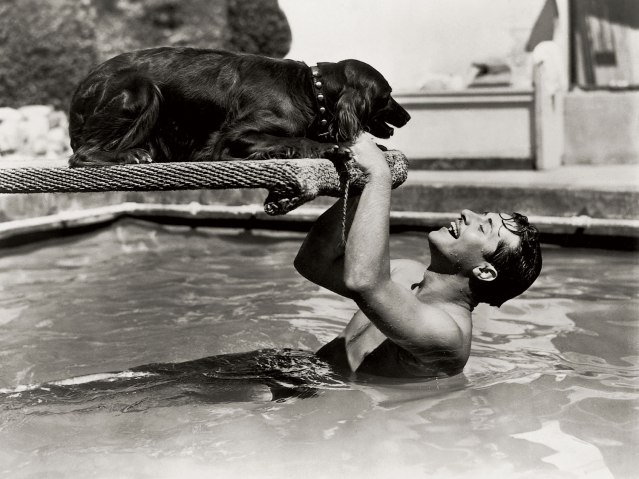 Don Ameche in the pool with his Irish setter, Flanagan, in 1939.
