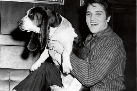Elvis Presley poses with a basset hound in honor of his hit song, 'Hound Dog', at the International Amphitheater in Chicago, in March 1957.