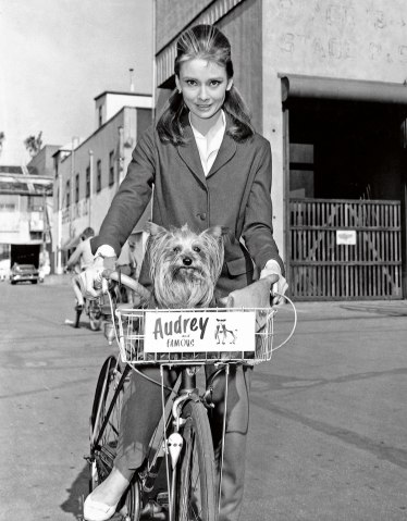 Audrey Hepburn backstage at Paramount Studios with her Yorkshire terrier, Mr. Famous, in California, in 1961.