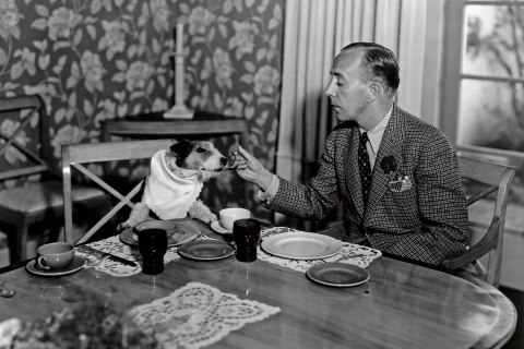 Charles Butterworth dines with his wire fox terrier, in 1935.