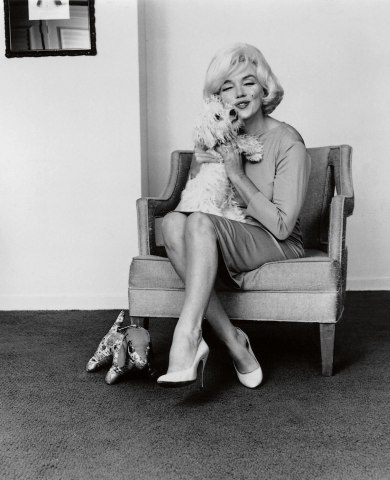 Marilyn Monroe with her Maltese, Maf, in 1961. Maf, short for 'Mafia', was Monroe's last dog, and was given to her by Frank Sinatra.