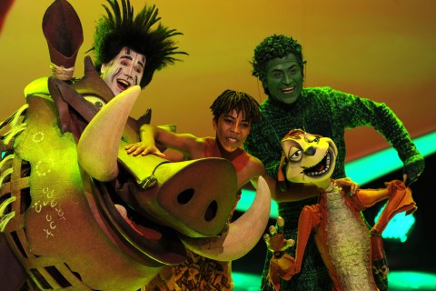 Actors of the musical "The Lion King" pe