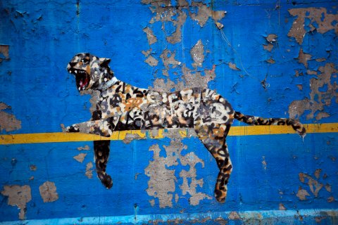 Newest art installation by British artist Banksy, which his website calls "Bronx Zoo (at Yankee Stadium)", is seen on a wall outside Yankee Stadium in Bronx borough of New York