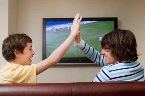 Sports Fans Watch TV