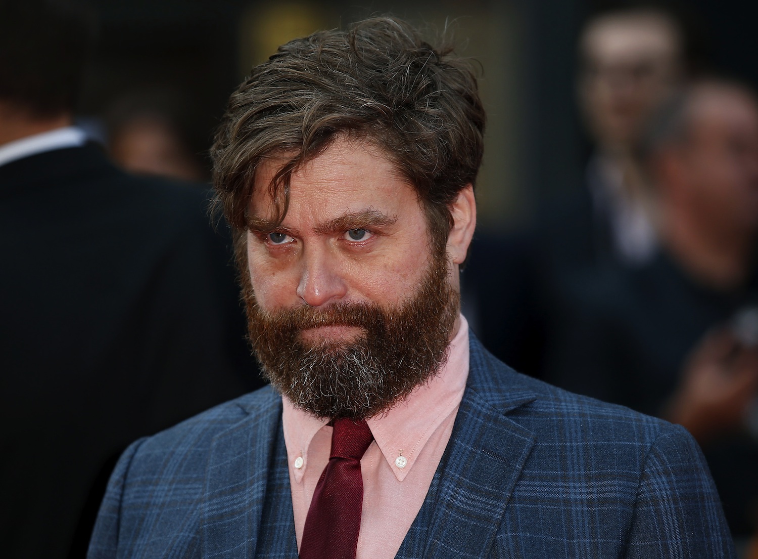 Zach Galifianakis giraffe